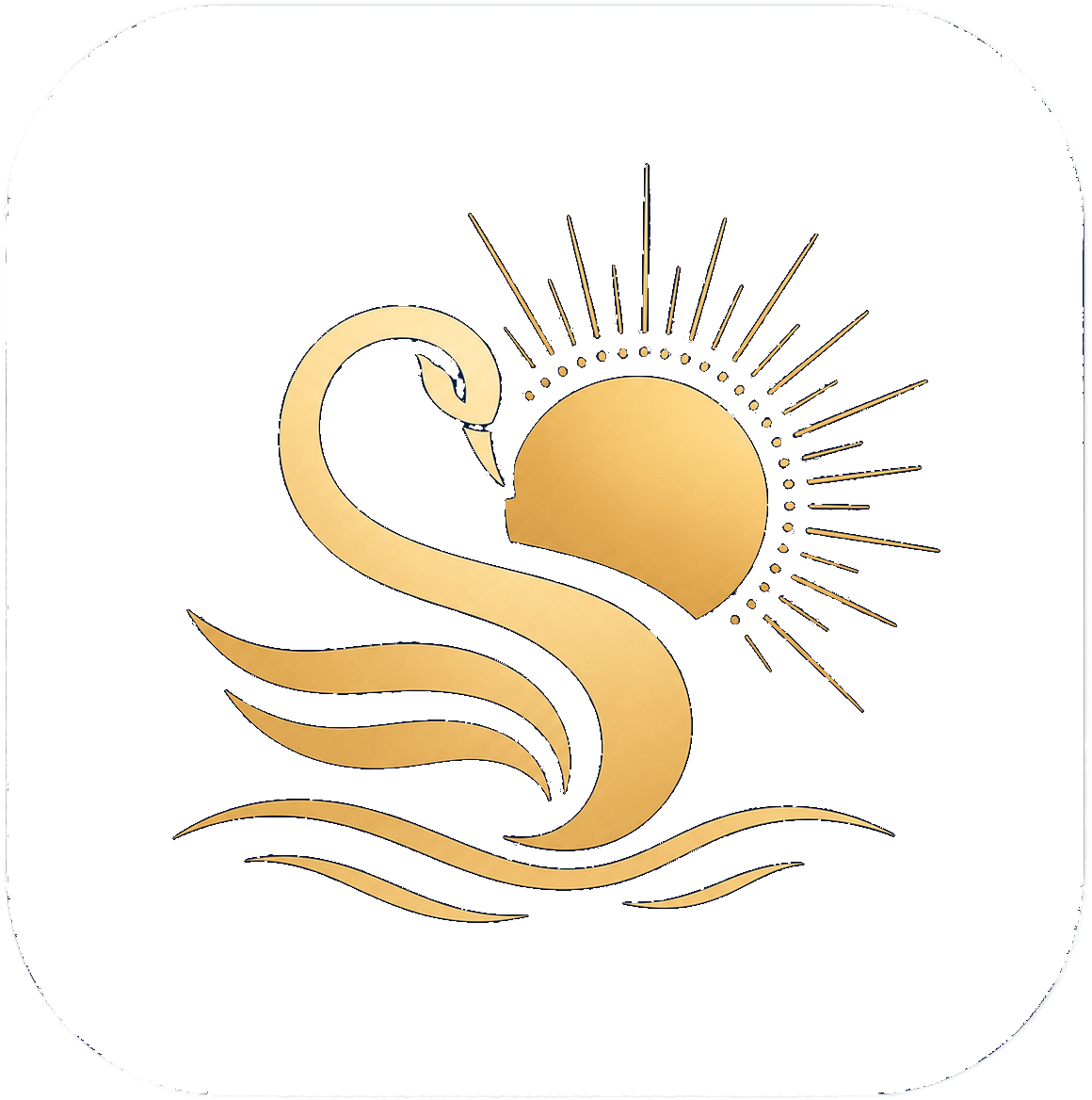 Software Seva